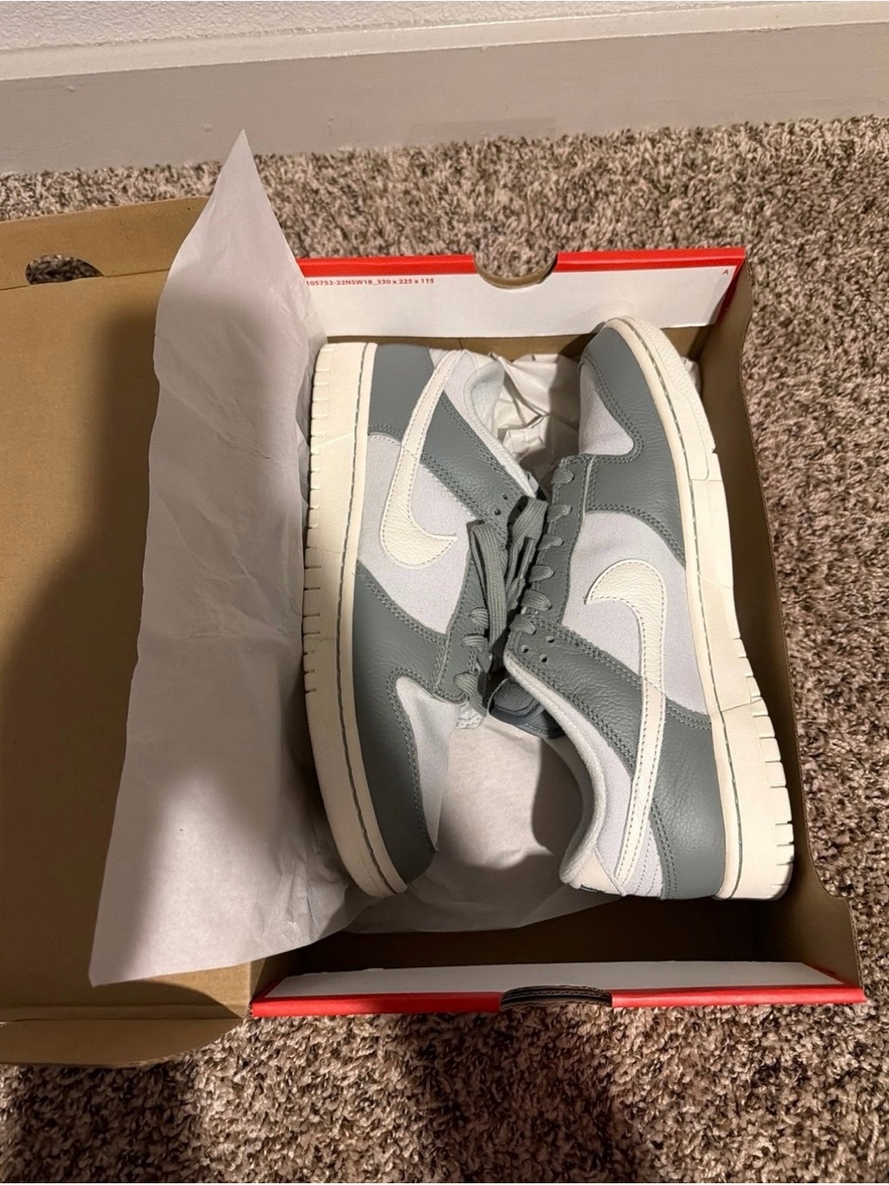Nike Men's Low-Top Sneakers in Gray and White